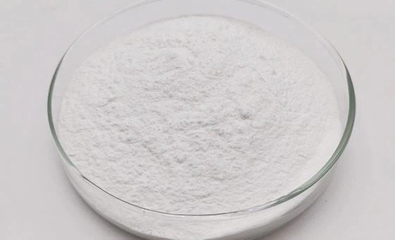 Lactobacillus rhamnosus powder