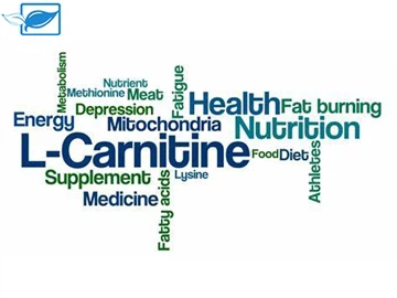Cyfres Atchwanegiad Maeth L-Carnitin
